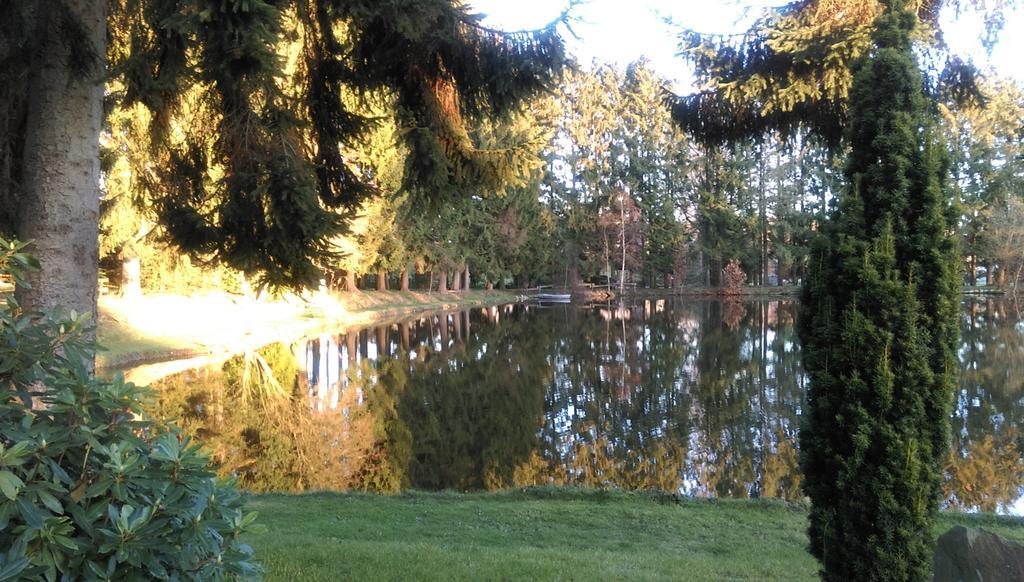 Hotel Steineweiher St. Vith Exteriör bild